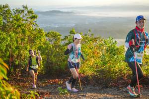 BIB: 2483
                            <button type="button" onclick="openModal(21874697)" class="btn btn-primary btn-sm float-right btn-popup" data-toggle="modal" data-target=".modal-high-quality">
                        <i class="fas fa-shopping-cart"></i> Add to Cart
                    </button>
                                            <button type="button" onclick="isThisMe(21874697, true)" class="btn btn-success btn-sm float-right btn-popup btn-isme hidden" data-toggle="tooltip" data-placement="bottom" title="นี่คือรูปของคุณใช่ไหม คลิกที่นี่เพื่อเอาเข้าอัลบั้ม">
                        <i class="fas fa-plus"></i> Add to album
                    </button>
                    <button type="button" onclick="isThisMe(21874697, false)" class="btn btn-warning btn-sm float-right btn-popup btn-isnotme hidden">
                        <i class="fas fa-ban"></i> Remove from album
                    </button>